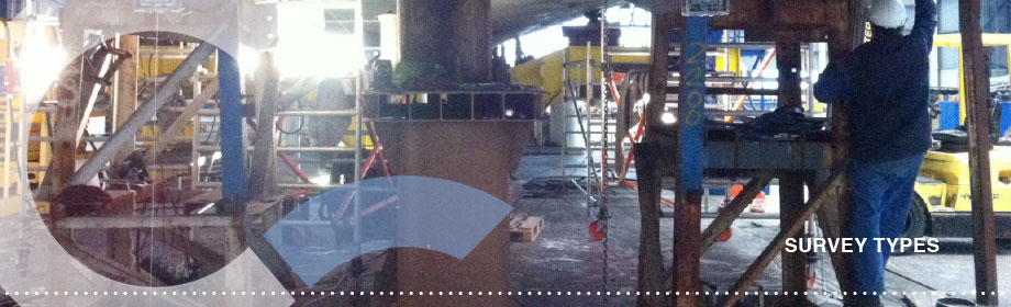 Private vessels Survey Types